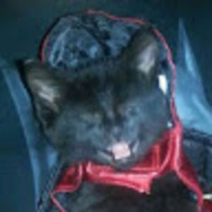 Meet your Posher, Seth